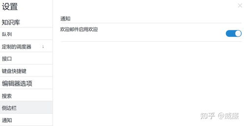 remnote设置界面的中文翻译